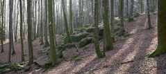 Die Sonne vertreibt den Nebel