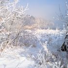 Die Sonne vertreibt den Nebel