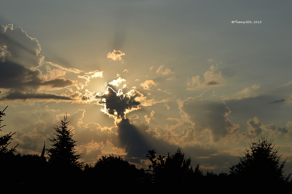 Die Sonne wagt sich langsam raus.