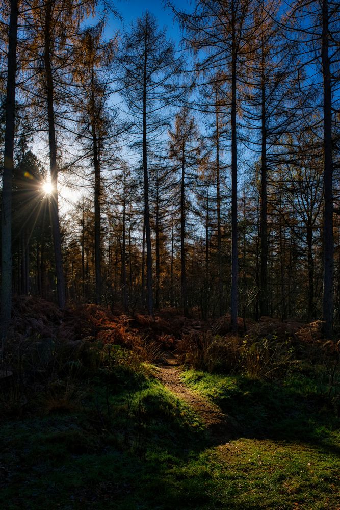 Die Sonne weist den Weg