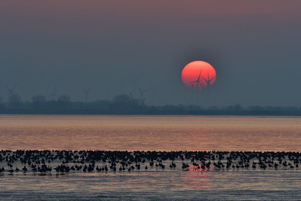die Sonne wie der Mars