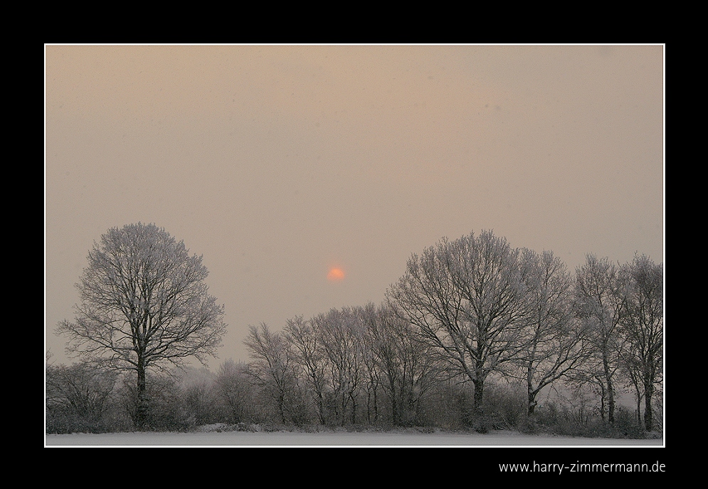 Die Sonne will scheinen