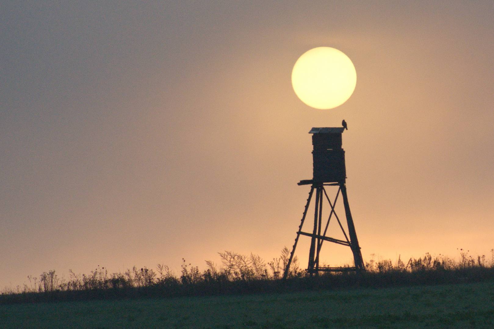 Die Sonne wird auch heute wieder scheinen