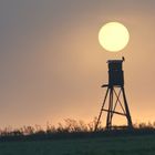 Die Sonne wird auch heute wieder scheinen