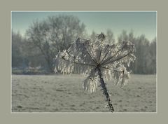 Die Sonne zeigt sich im Detail