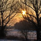 Die Sonne zwischen den Bäumen