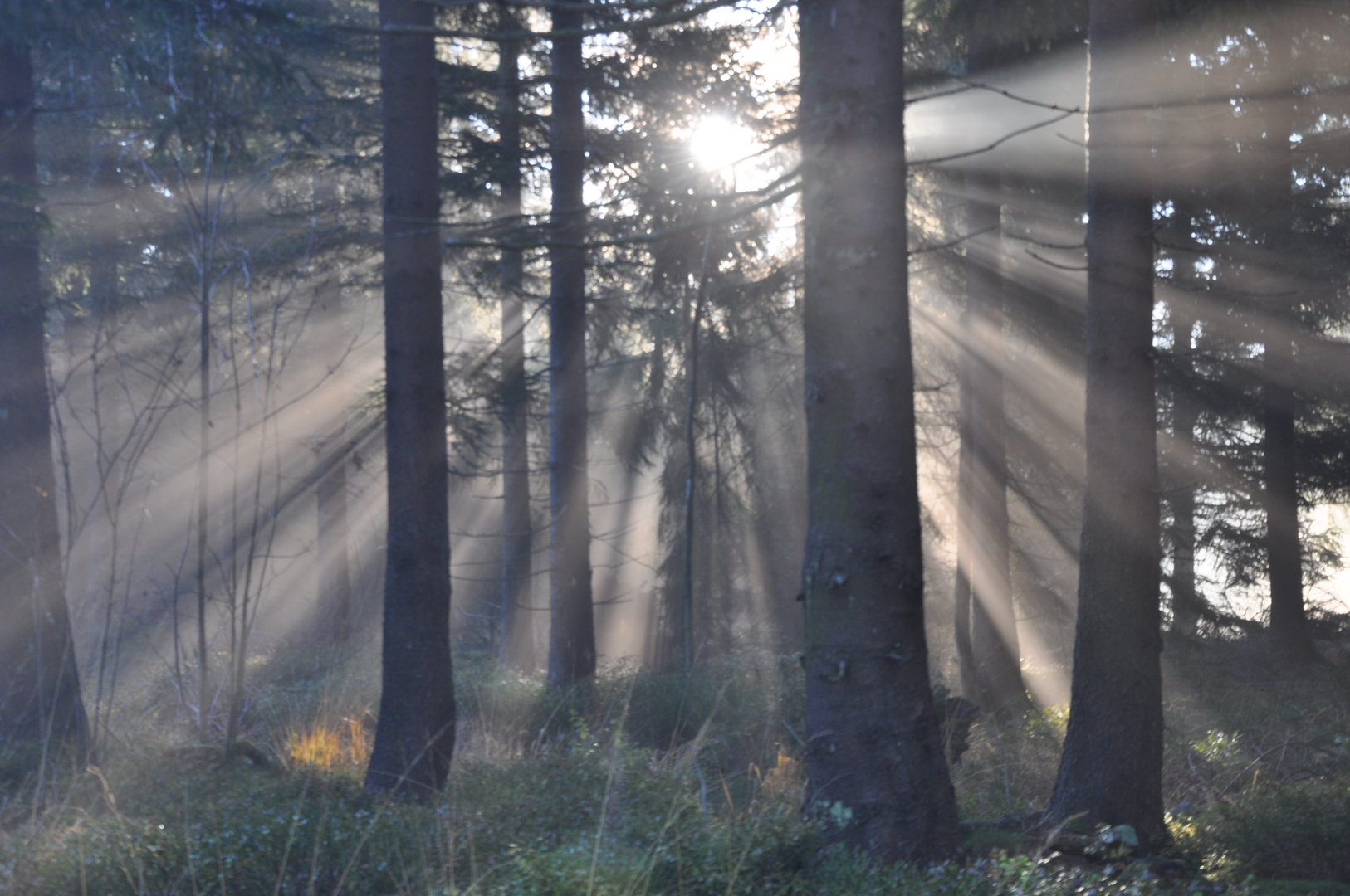 Die Sonnen bahnt sich Ihren Weg durch den Nebel IV