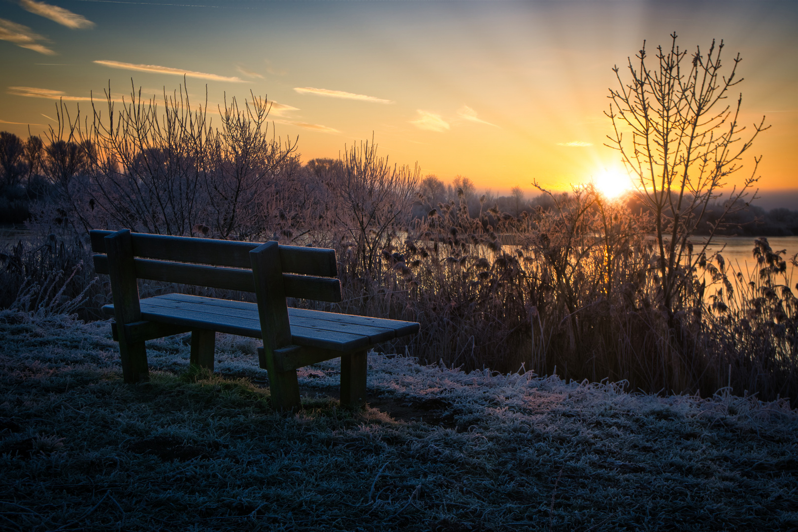 die Sonnenbank