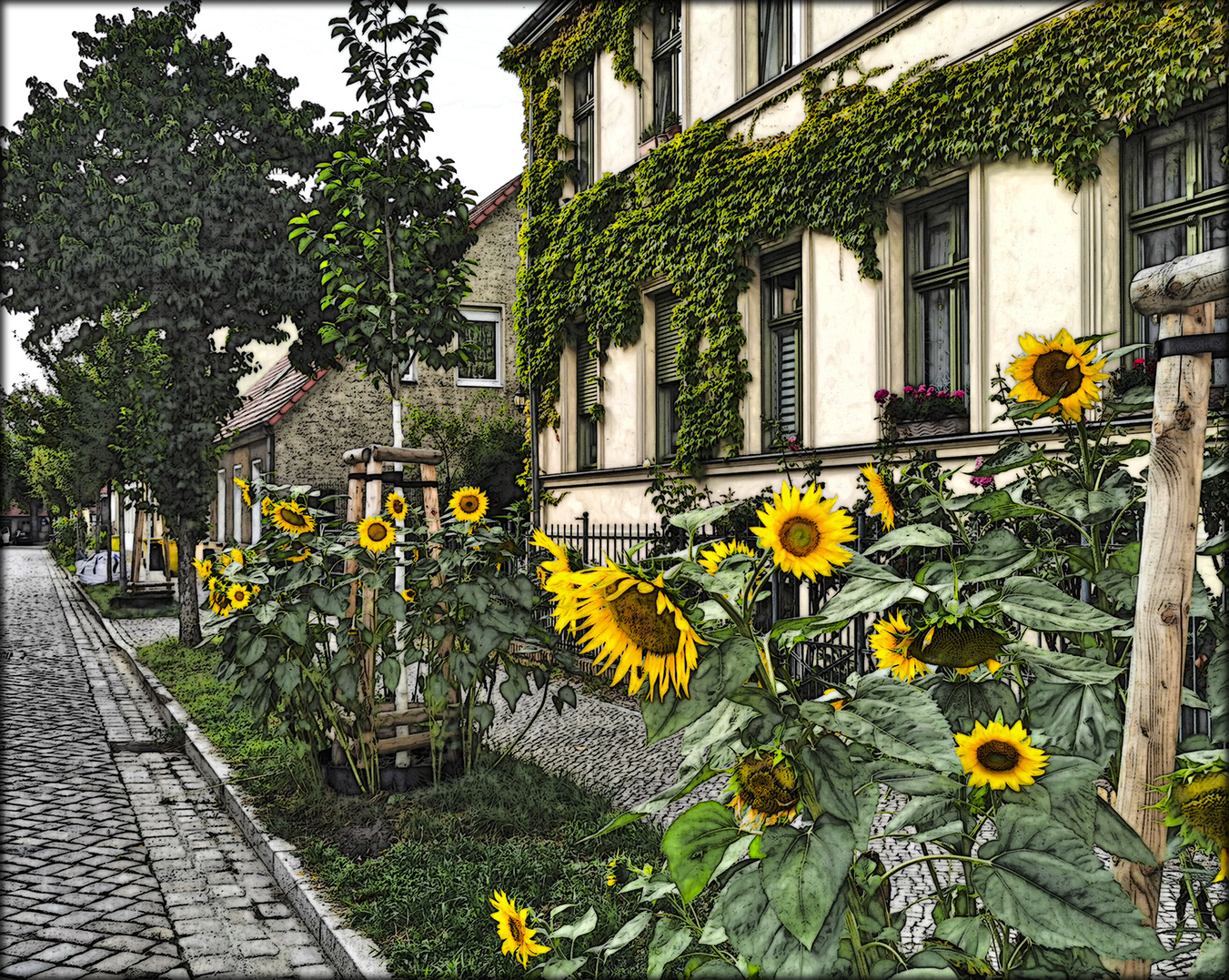 die Sonnenblumenstraße