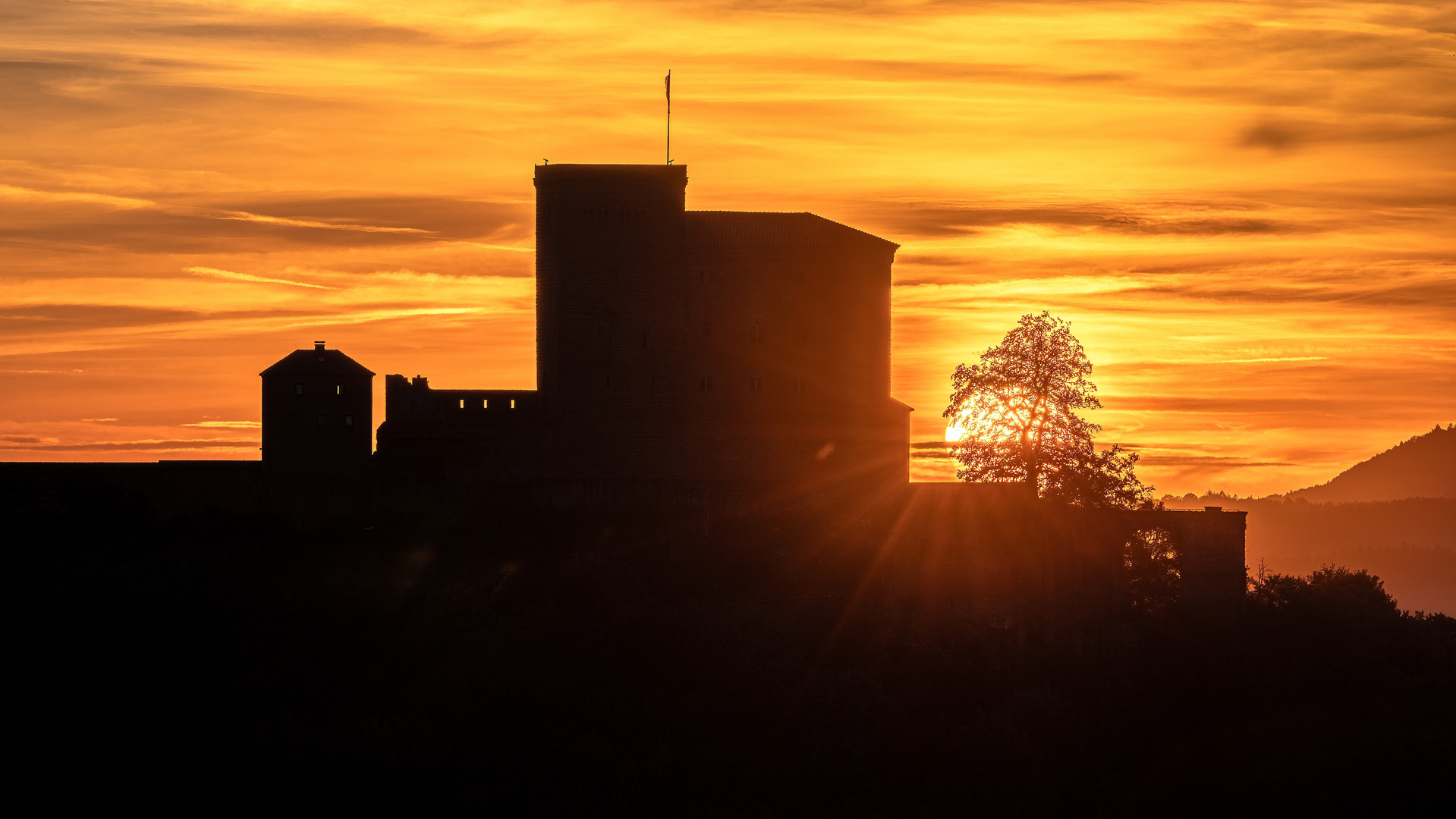 Die Sonnenlinde