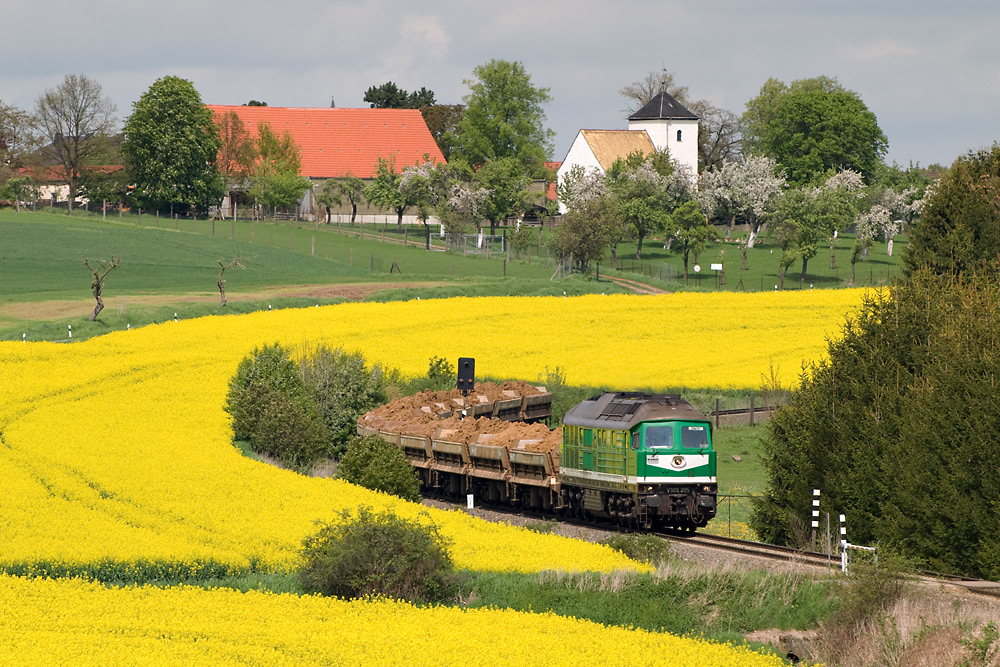 Die Sonnenseite des Frühlings