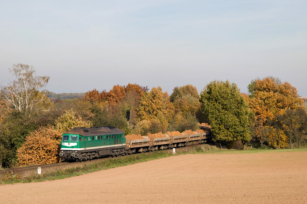 Die Sonnenseite des Herbstes...