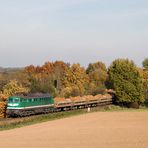 Die Sonnenseite des Herbstes...