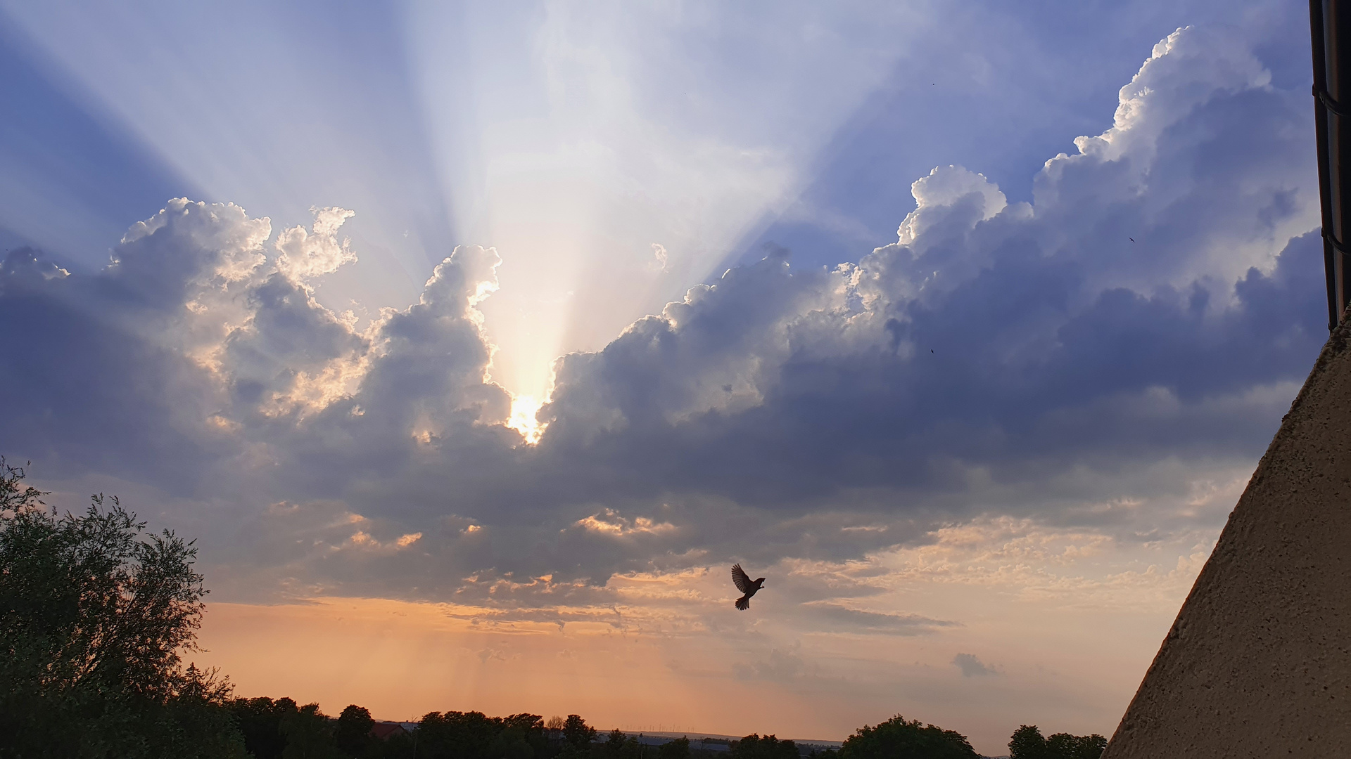 Die Sonnenstrahlen 