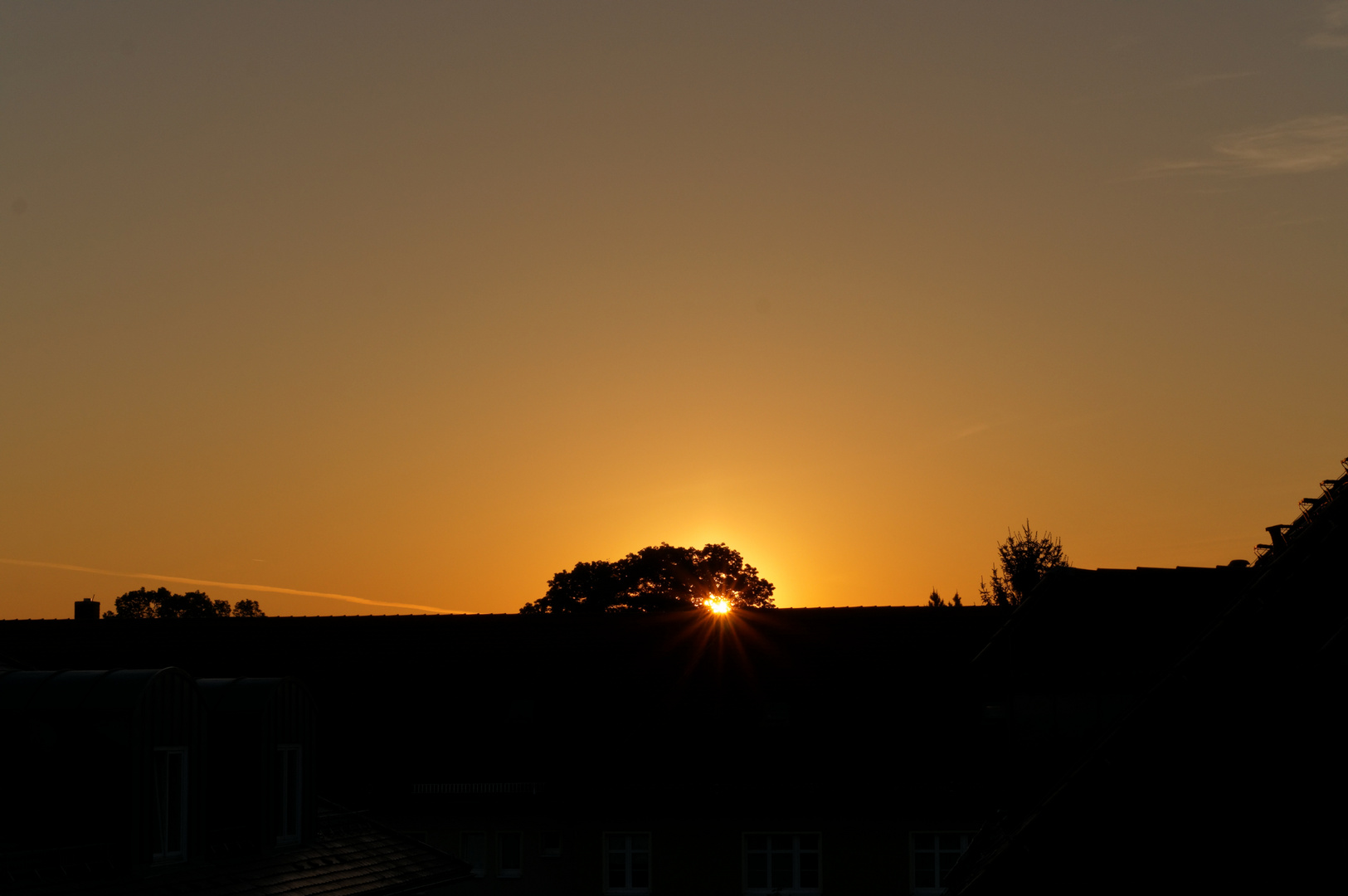 Die Sonnenstrahlen blinzeln durchs Geäst