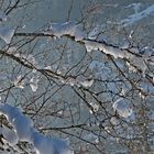 Die Sonnenstrahlen lassen den Schnee schmelzen... - Le soleil fait fondre la neige!