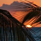 Die Sonnenuntergänge auf Mauritius sind schon ein Erlebnis...