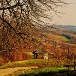 die sonnige Landschaft oberhalb des Remstals