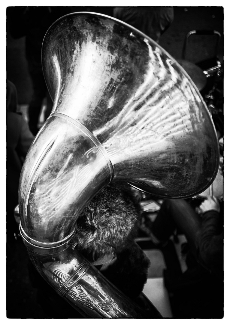 Die Sousaphone-Spielerin