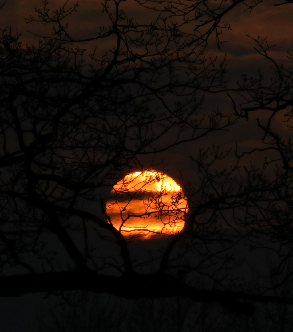 Die späte Sonne