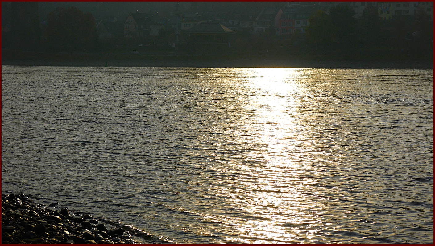 Die späte Sonne über dem Rhein bei km 551