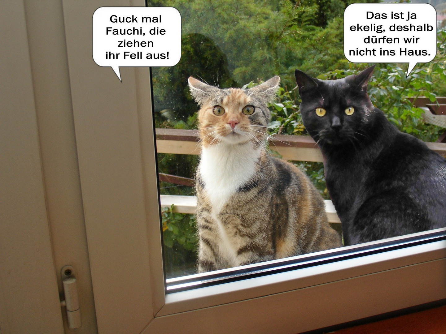 " Die Spanner am Fenster " 