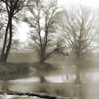 die Spaziergängerin am Fluss