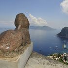 Die Sphinx bei der Villa San Michele