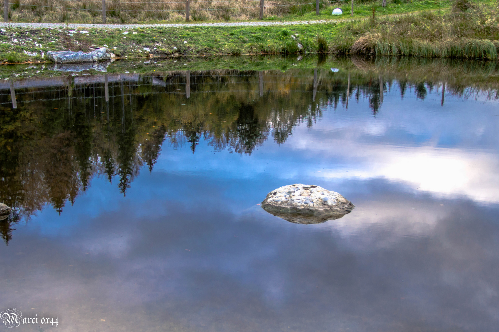 die Spiegelung im Schwimmteich