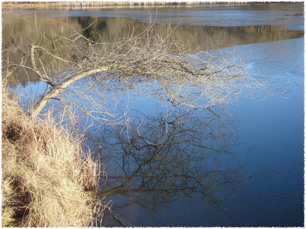 Die Spiegelung im See