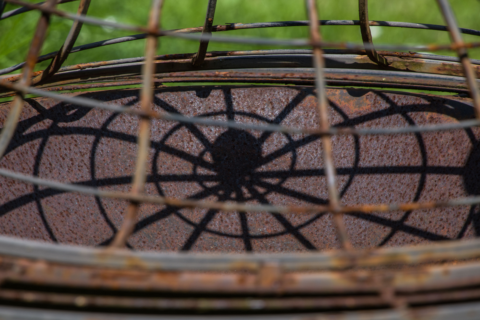 die Spinne - wer hat da jetzt alles den Durchblick?