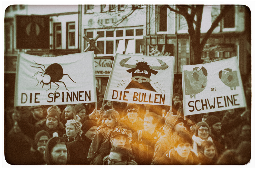 Die Spinnen....