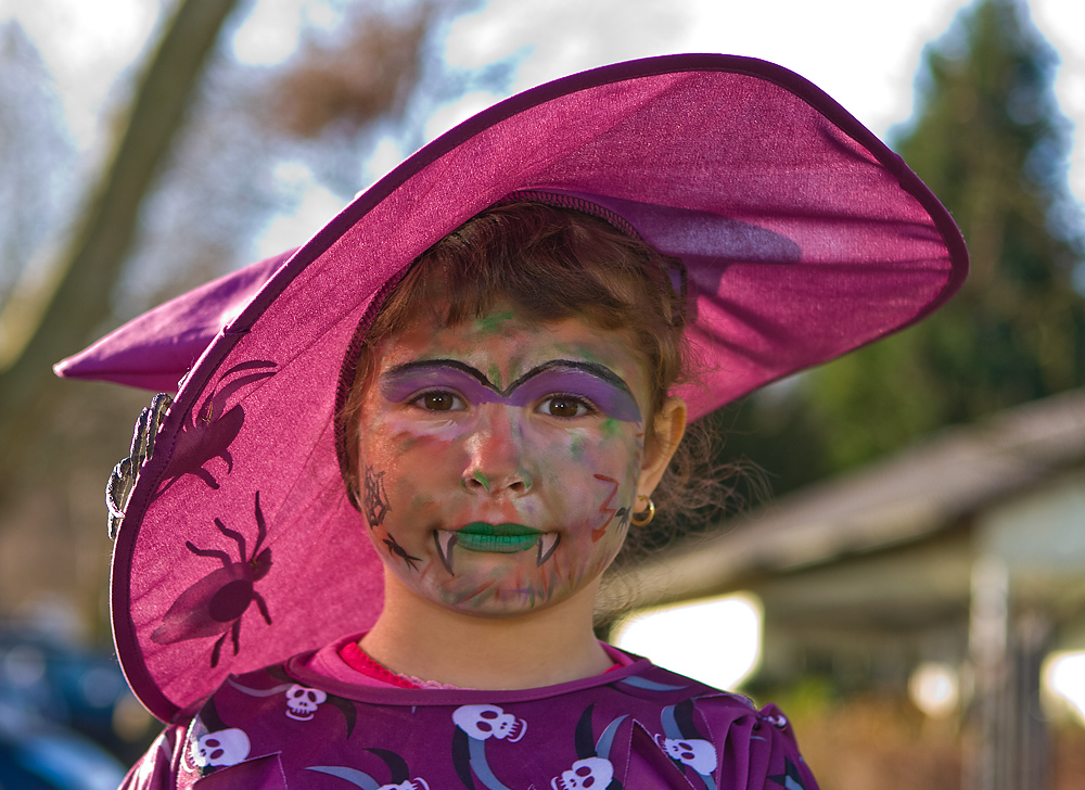 Die Spinnen sind los - Karneval 2008