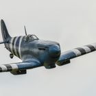 Die Spitfire