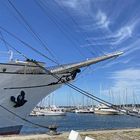 Die Spitze der Gorch Fock 1