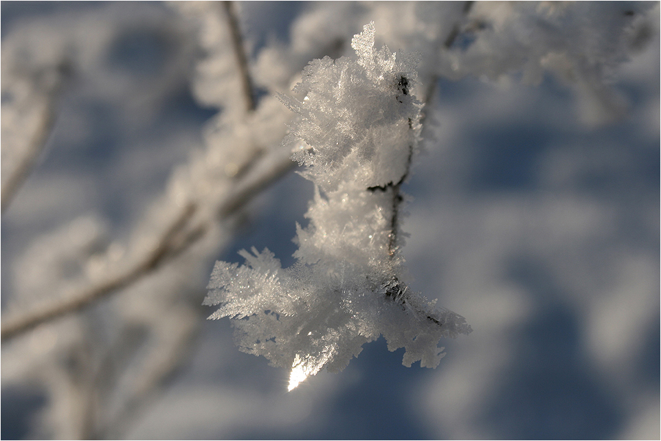 Die Spitze des Eisbergs . . .