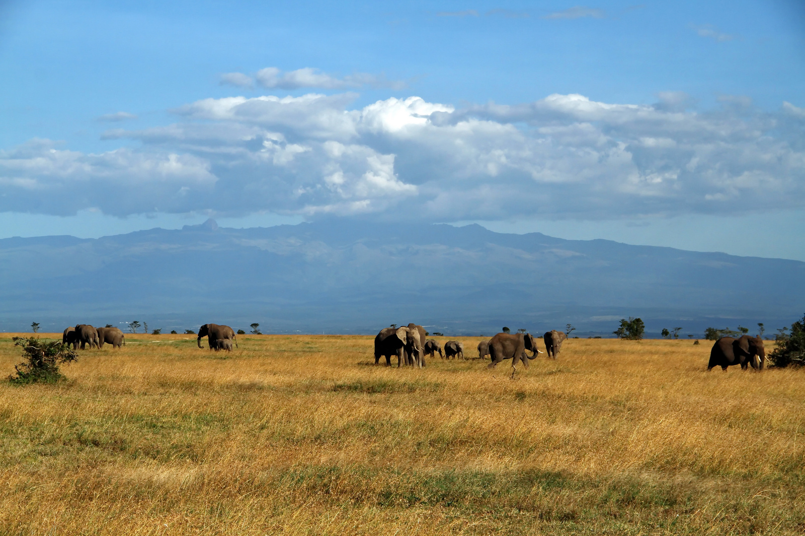 die Spitze des Mt Kenya