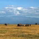 die Spitze des Mt Kenya