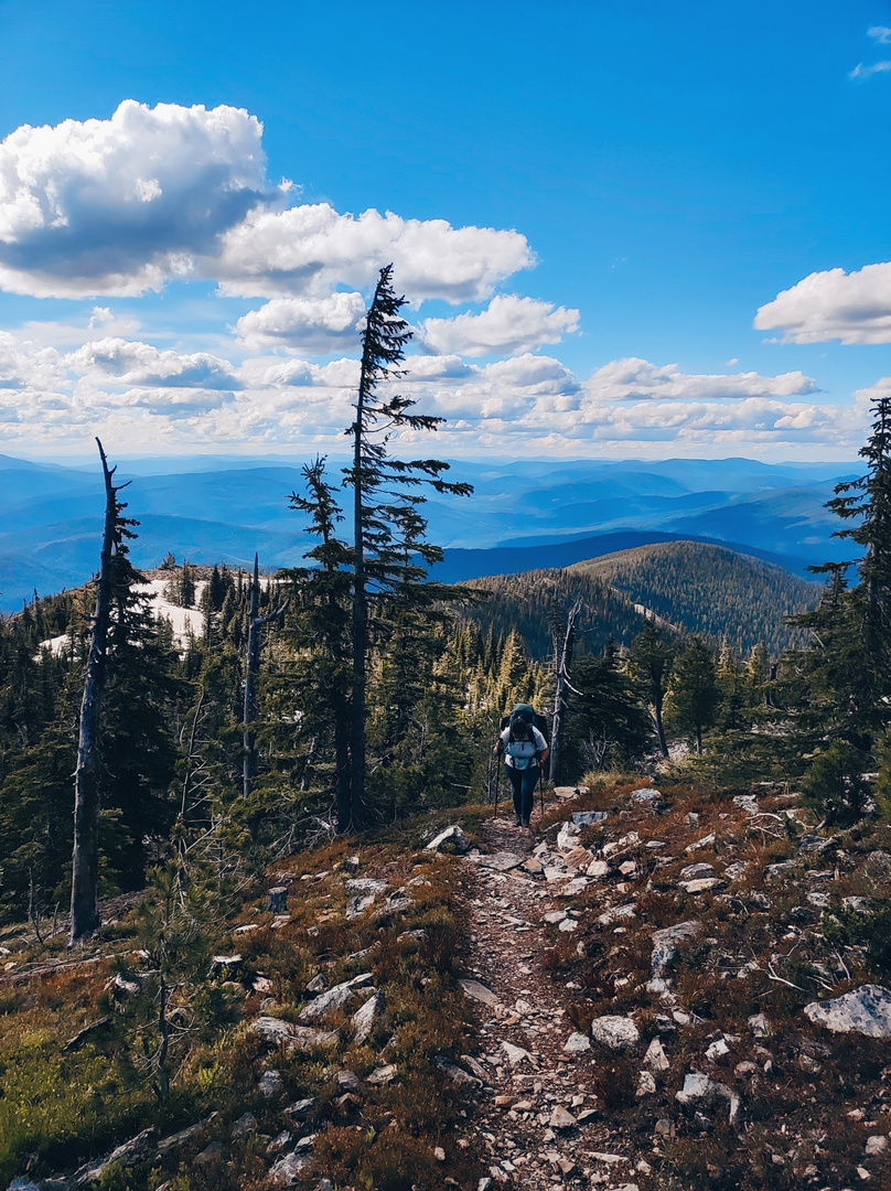 Die Spitze von Mt. Henry, Montana