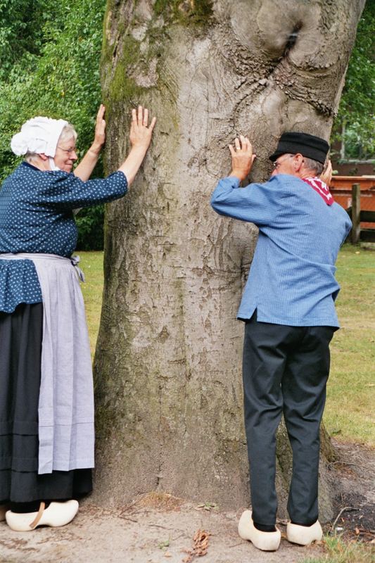 Die Sprache des Baumes