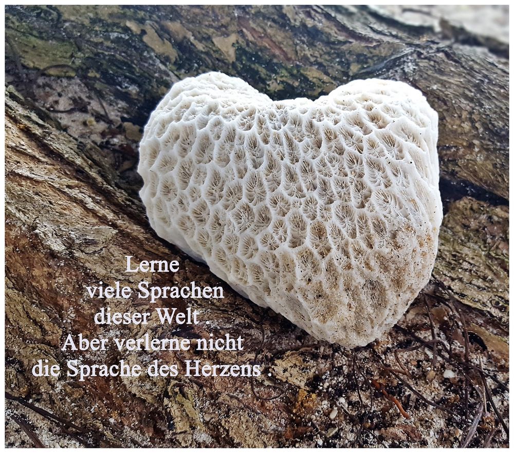 Die Sprache des Herzens Foto & Bild abstraktes, formen, zitate Bilder