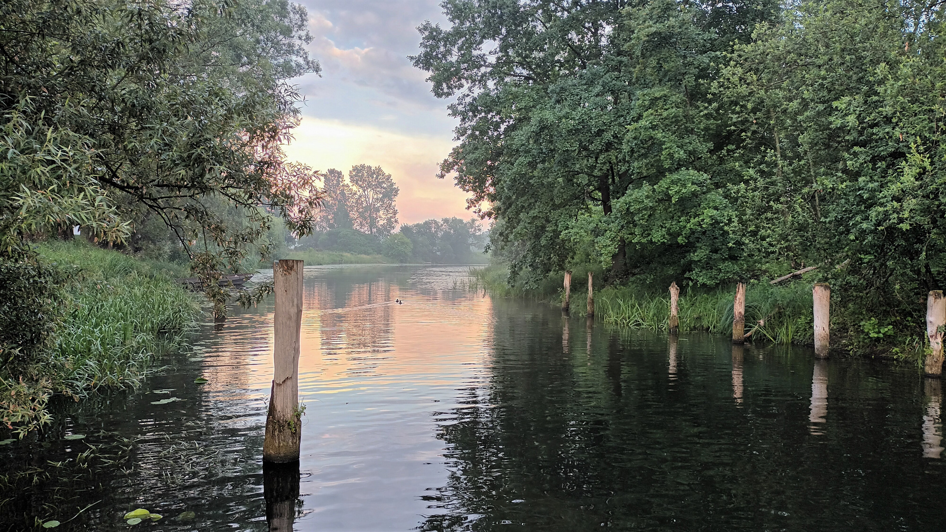 Die Spree bei Alt-Schadow...