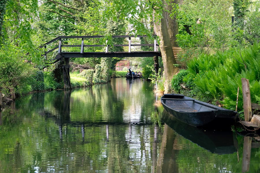 die Spree bei Lübben I