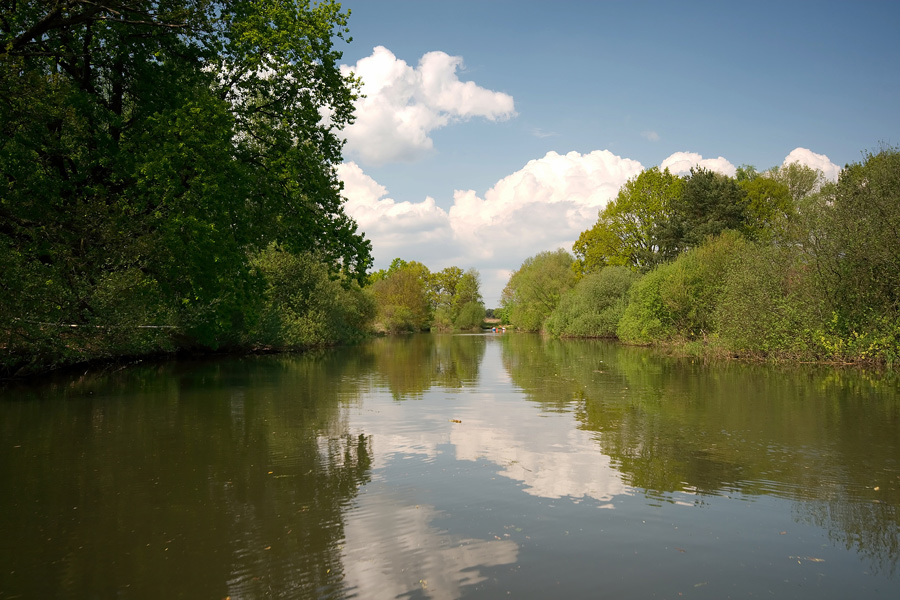 die Spree bei Lübben II