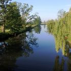 Die Spree bei Neuendorf