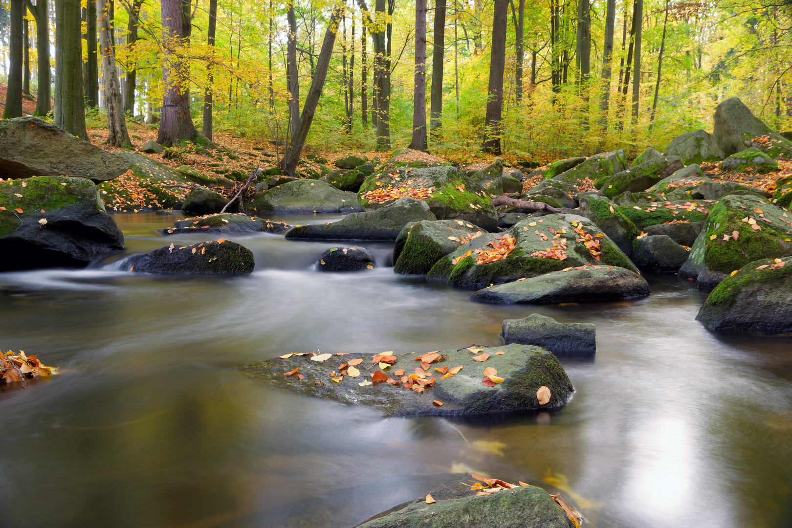 Die Spree im Herbstkleid