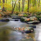 Die Spree im Herbstkleid