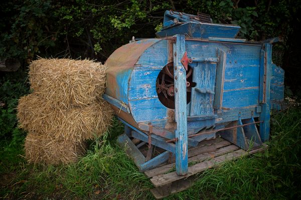 Die Spreu vom Weizen trennen