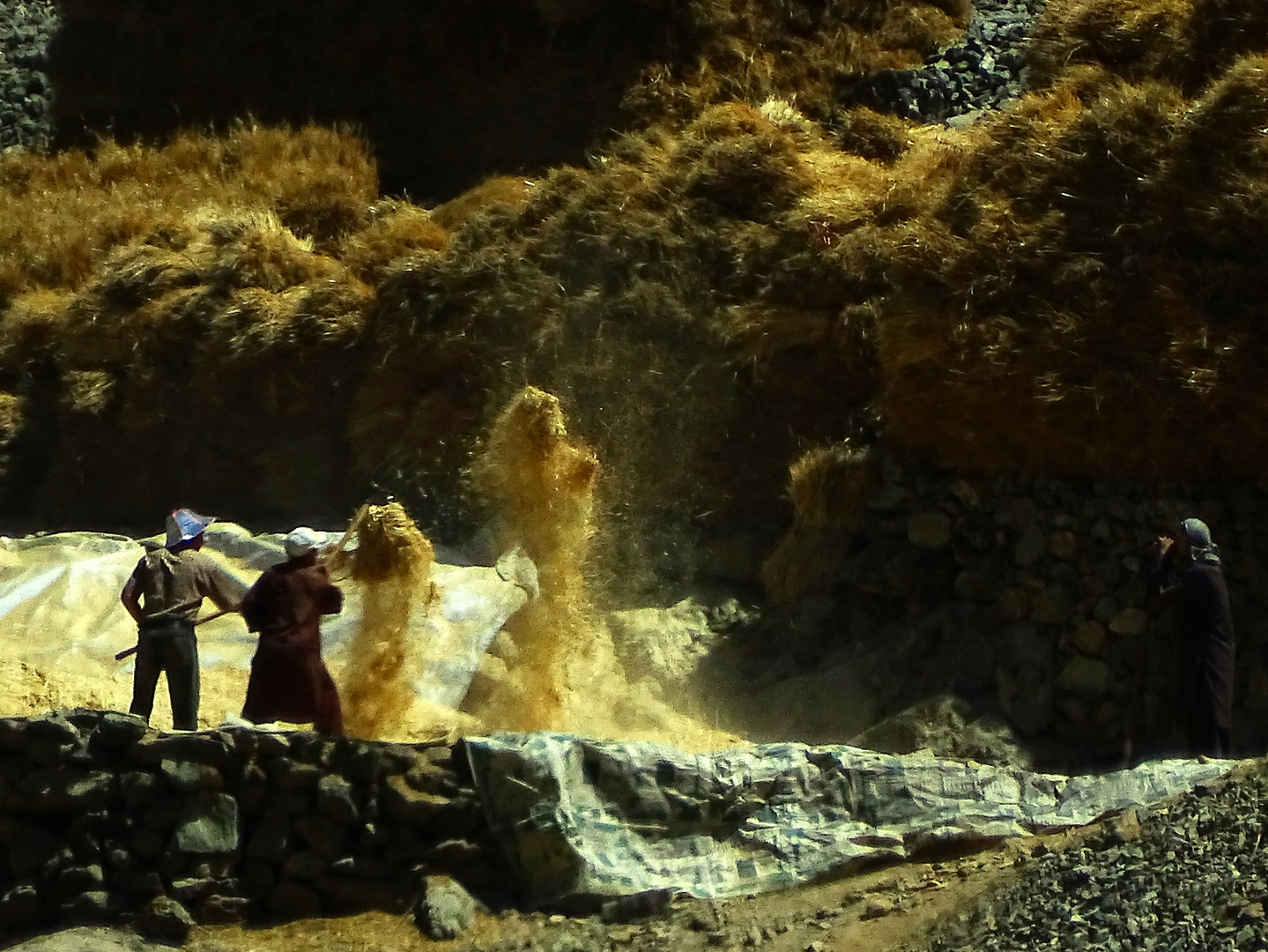 Die Spreu vom Weizen trennen, Tibet (2015)