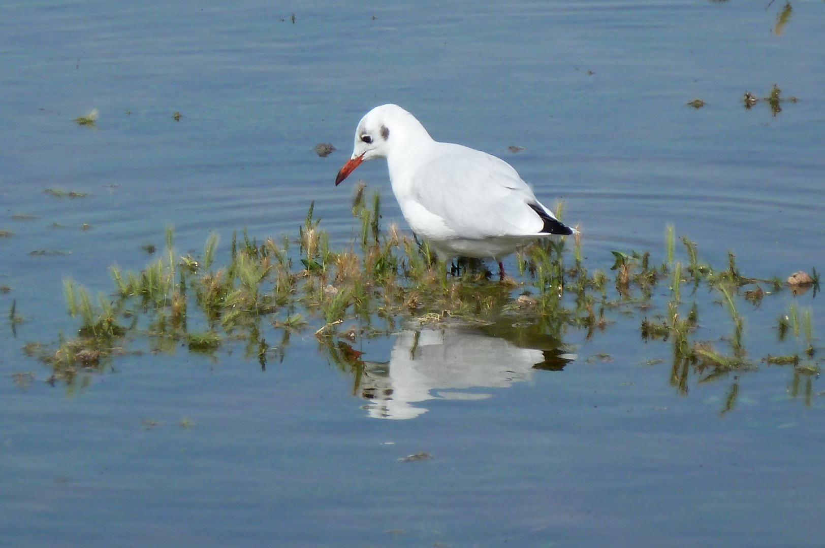 Die Springflut ist vorbei